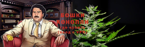 эйфоретик Каменногорск