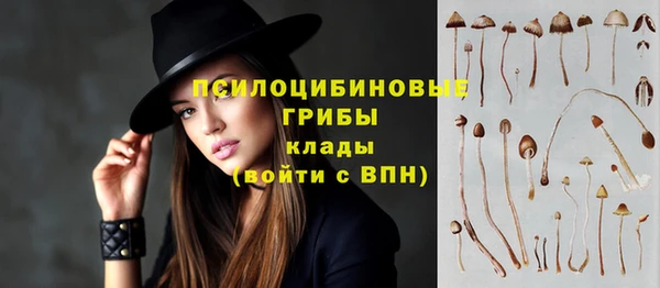 эйфоретик Каменногорск