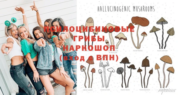 эйфоретик Каменногорск