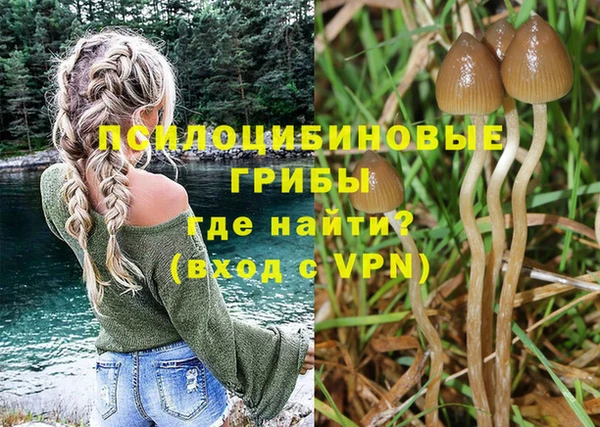 эйфоретик Каменногорск