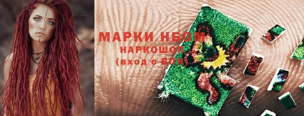 эйфоретик Каменногорск