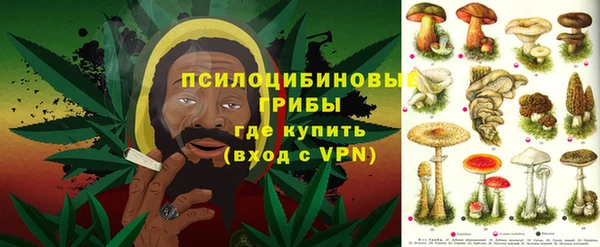 эйфоретик Каменногорск