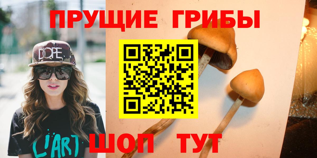 Галлюциногенные грибы мицелий  Вход с VPN  Галлюциногенные грибы Psilocybe  Можайск 