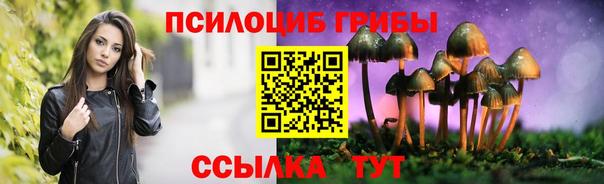 Галлюциногенные грибы GOLDEN TEACHER  Можайск 